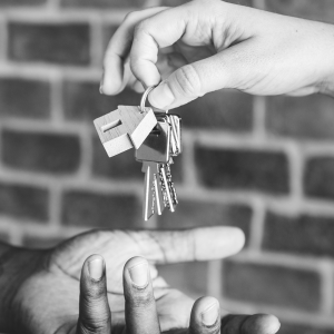 Real Estate Law